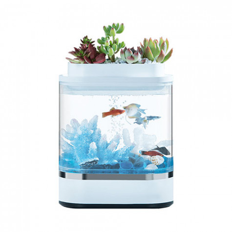Geometry Mini Lazy Fish Tank